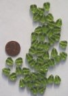 50 10x8mm Olive Leaf